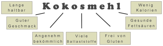 Kokosmehl Infografik